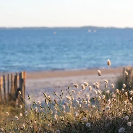 Plein Soleil By Interhome *